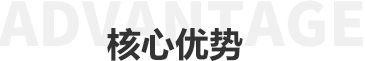 核心优势